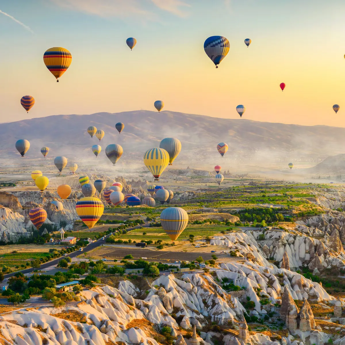 iStock-1339814820.jpg